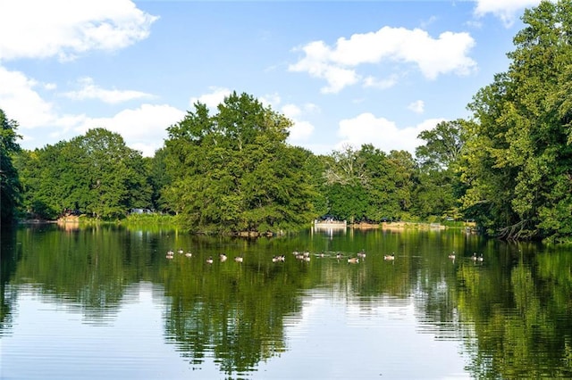 145 15th St NE Unit 204, Atlanta, GA 30309 - water view with a wooded view