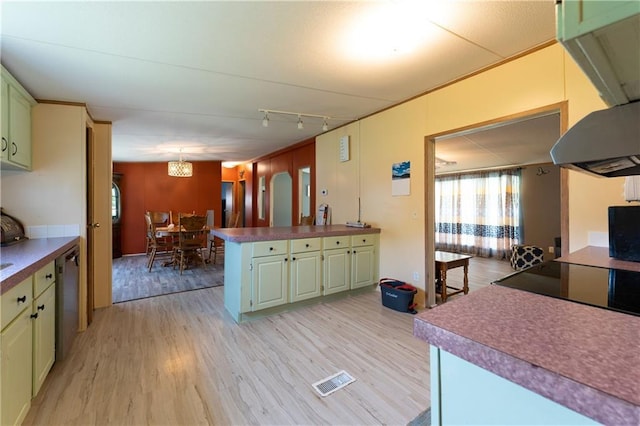 518 W Nance Springs Rd, Resaca, GA 30735 - kitchen with green cabinetry, light wood-style floors, a peninsula, dishwasher, and extractor fan