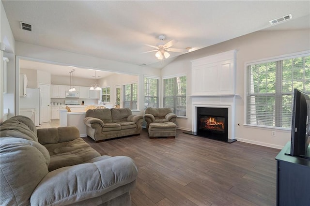 4321 Sugar Maple Chase NW, Acworth, GA 30101 - living room featuring ceiling fan, plenty of natural light, dark wood finished floors, a glass covered fireplace, and lofted ceiling