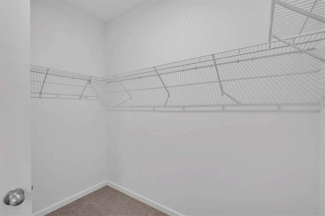 2703 Jordan Ln, Lithia Springs, GA 30122 - walk in closet with carpet flooring