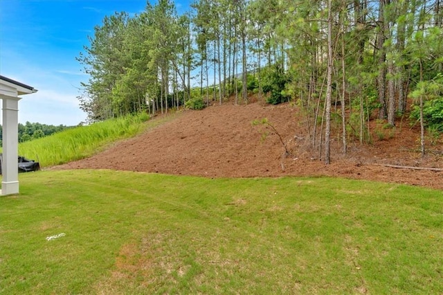 2703 Jordan Ln, Lithia Springs, GA 30122 - view of grassy yard
