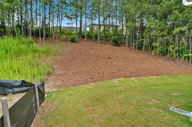 2703 Jordan Ln, Lithia Springs, GA 30122 - view of yard