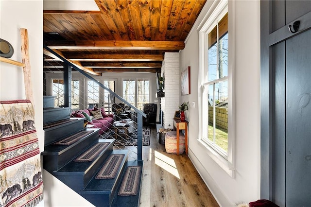 interior space featuring beamed ceiling, plenty of natural light, wood ceiling, and wood finished floors