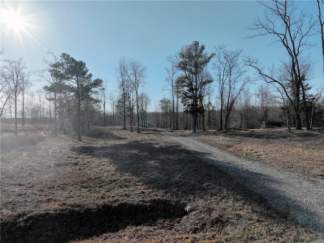 view of road with a rural view