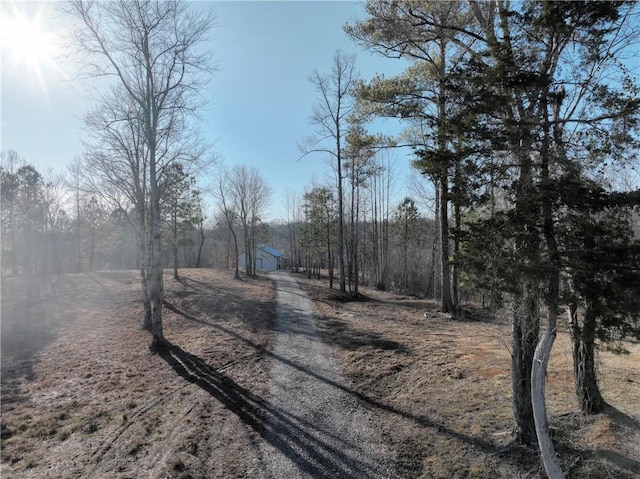 view of road featuring driveway