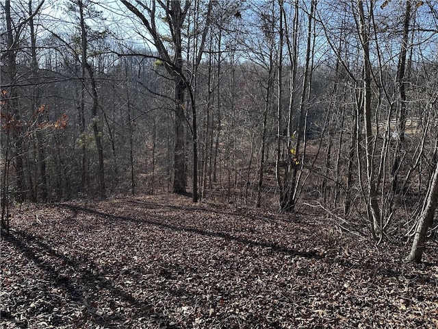 view of local wilderness featuring a wooded view
