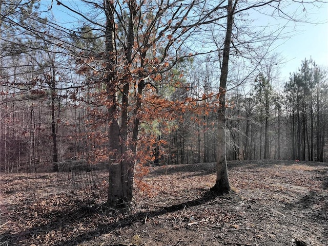 view of local wilderness with a view of trees