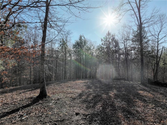 view of landscape with a forest view