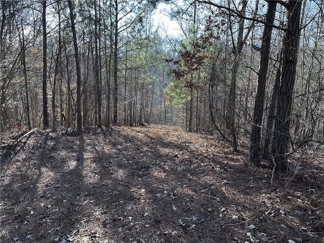 view of local wilderness with a wooded view