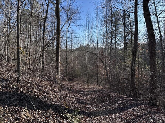 view of local wilderness featuring a wooded view