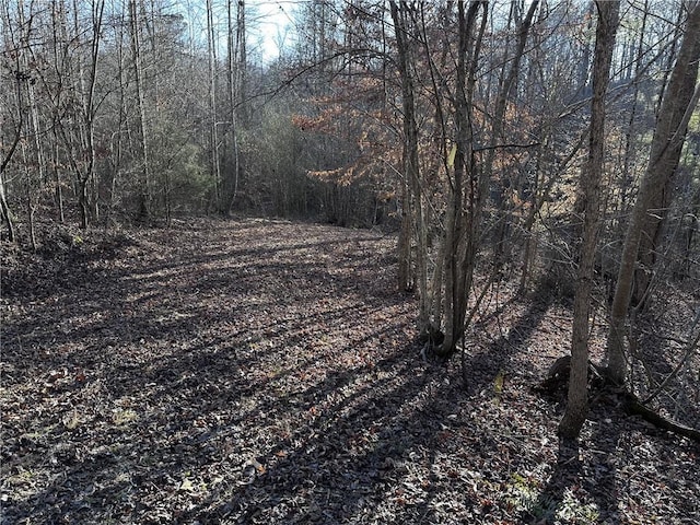 view of landscape featuring a wooded view