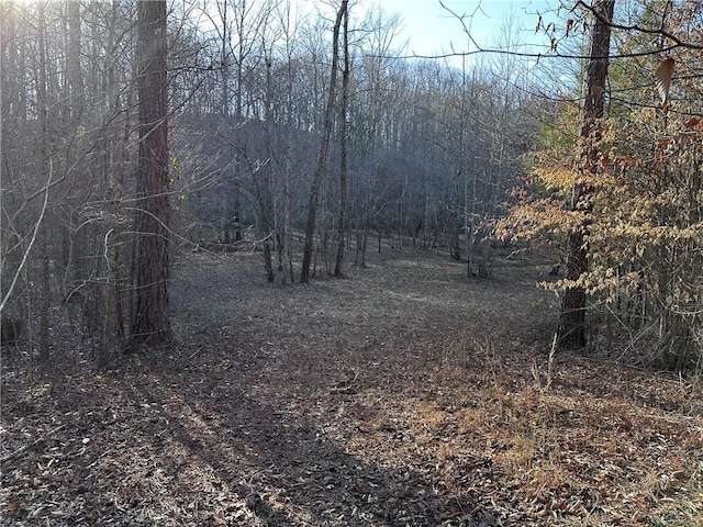 view of nature with a forest view