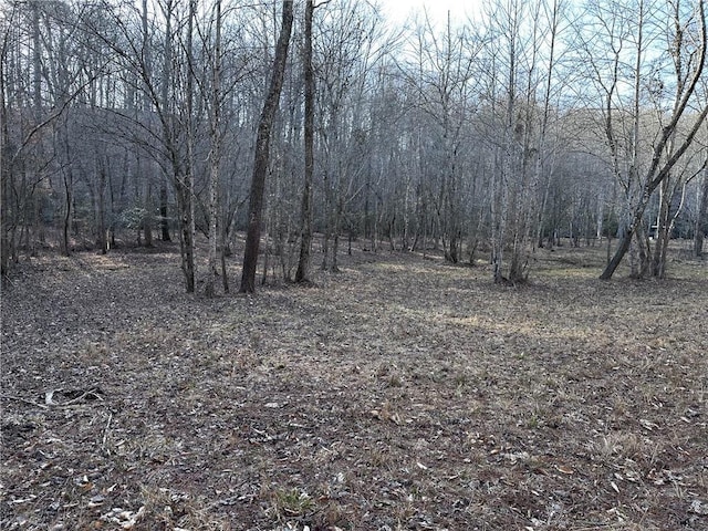 view of nature with a forest view