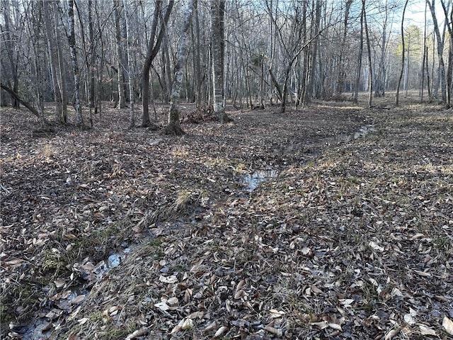 view of local wilderness featuring a forest view