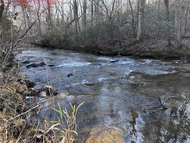 view of water feature