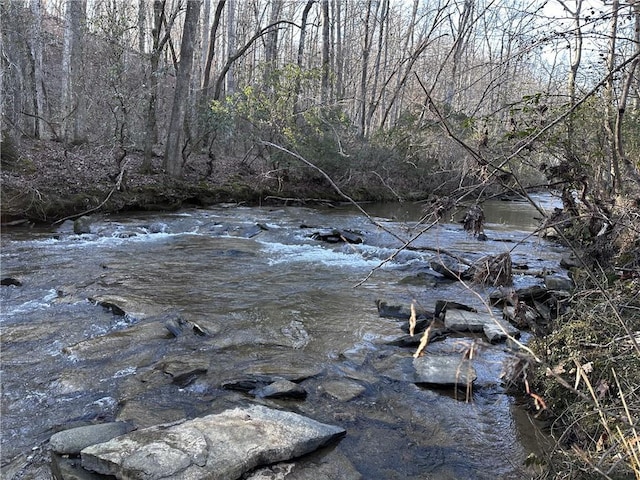 view of local wilderness