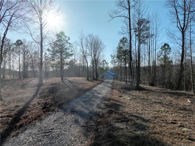 view of street featuring driveway