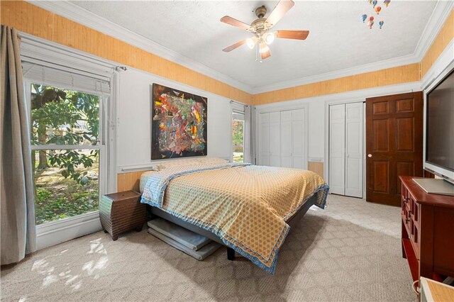 6048 Kings Mountain Way, Tucker, GA 30087 - bedroom with two closets, a decorative wall, carpet, crown molding, and a wainscoted wall