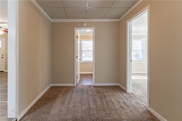 hall featuring carpet flooring