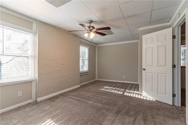 carpeted spare room with ornamental molding, a drop ceiling, a healthy amount of sunlight, and ceiling fan