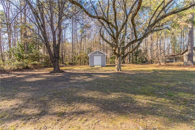 view of yard featuring a storage shed