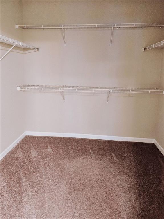 walk in closet with carpet floors