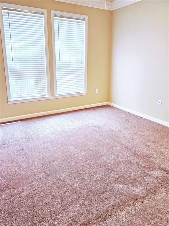 unfurnished room with carpet floors, ornamental molding, and a healthy amount of sunlight