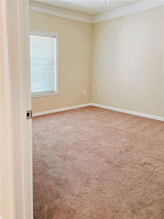 carpeted empty room featuring crown molding