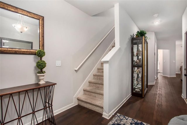 stairway with hardwood / wood-style flooring