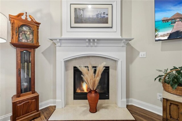 room details with hardwood / wood-style floors