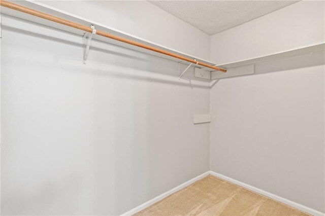 spacious closet with carpet flooring