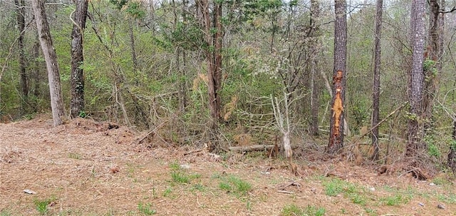 1293 Elk Ter SW, Lilburn, GA 30047