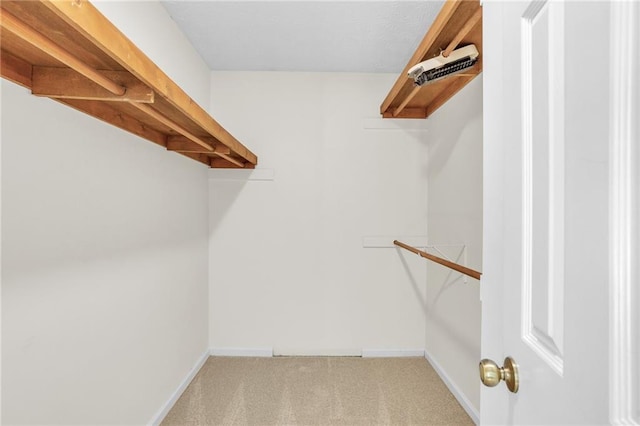 spacious closet with carpet