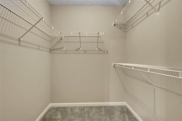 walk in closet with carpet floors