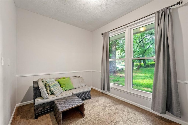 1328 Hidden Hills Pkwy, Stone Mountain, GA 30088 - sitting room with healthy amount of natural light, a textured ceiling, and carpet flooring