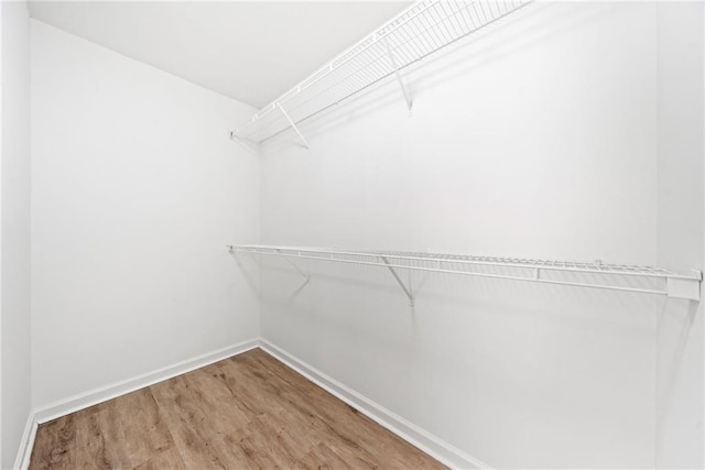 spacious closet featuring wood finished floors