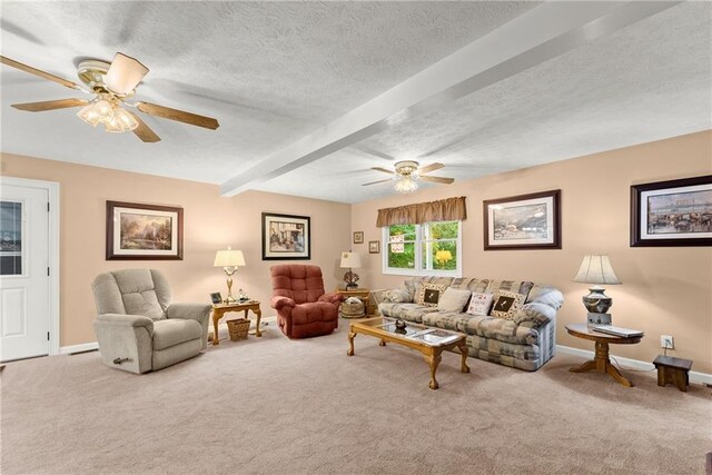 28 Colley Ln, Cleveland, GA 30528