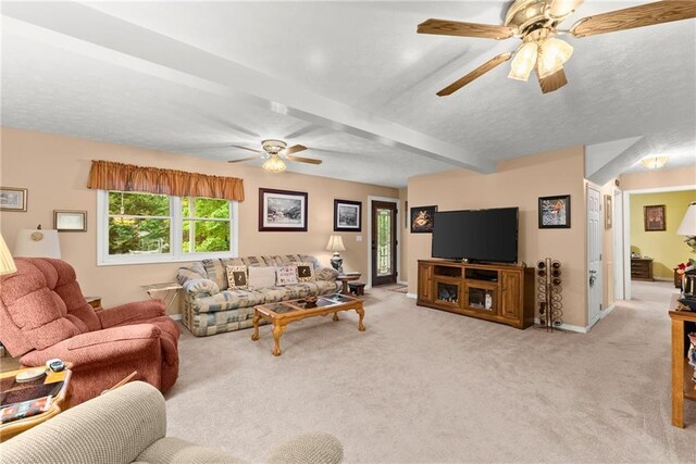28 Colley Ln, Cleveland, GA 30528