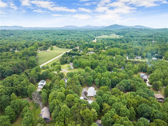 28 Colley Ln, Cleveland, GA 30528