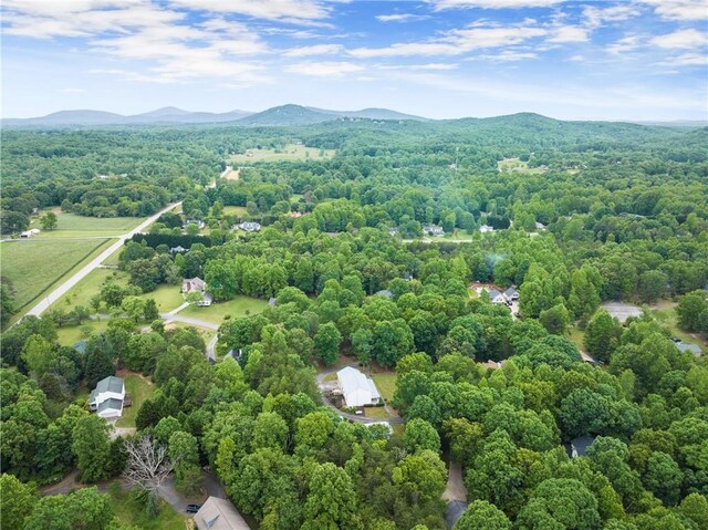28 Colley Ln, Cleveland, GA 30528