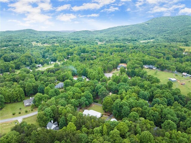 28 Colley Ln, Cleveland, GA 30528