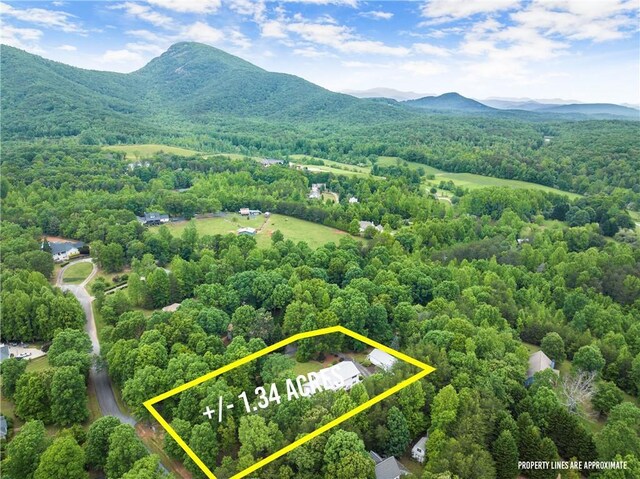 28 Colley Ln, Cleveland, GA 30528