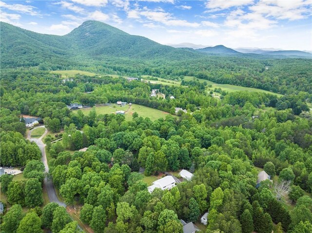 28 Colley Ln, Cleveland, GA 30528