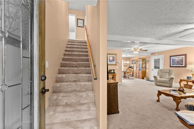 28 Colley Ln, Cleveland, GA 30528