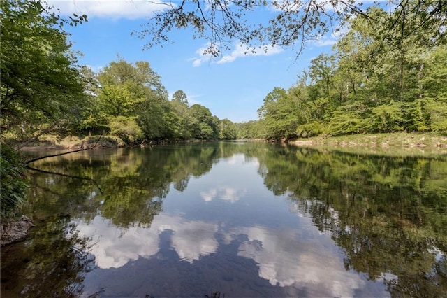 735 River Ridge Lane, Suwanee, GA 30024 - water view featuring a heavily wooded area