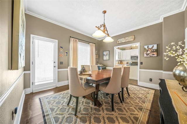 dining room with crown molding, a textured ceiling, and dark hardwood / wood-style flooring