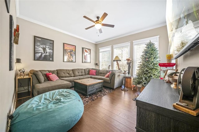 living room with crown molding, dark wood-type flooring, and ceiling fan