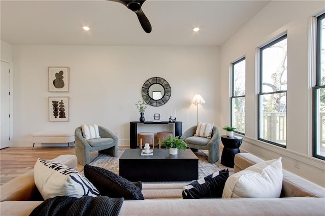 living room with ceiling fan and light hardwood / wood-style flooring