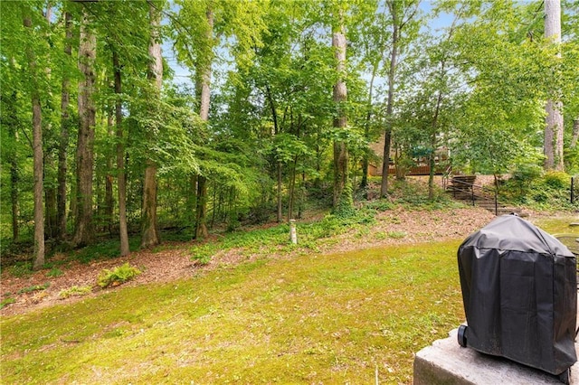 2349 Northlake Ct NE, Atlanta, GA 30345 - view of green lawn