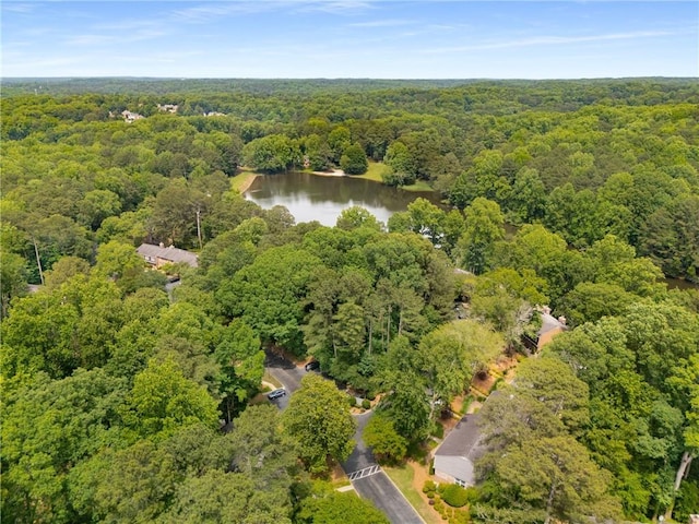 2349 Northlake Ct NE, Atlanta, GA 30345 - aerial overview of property's location featuring a heavily wooded area and a nearby body of water